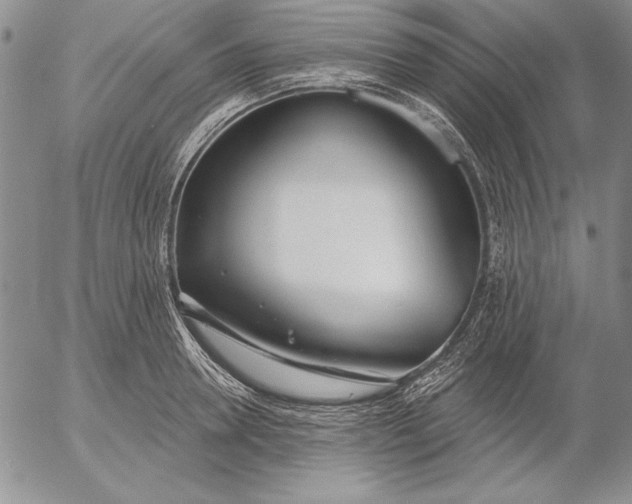 X0000053000946200507291639