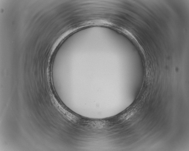 X0000053000947200507291639