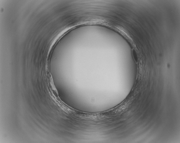 X0000053000948200507291639