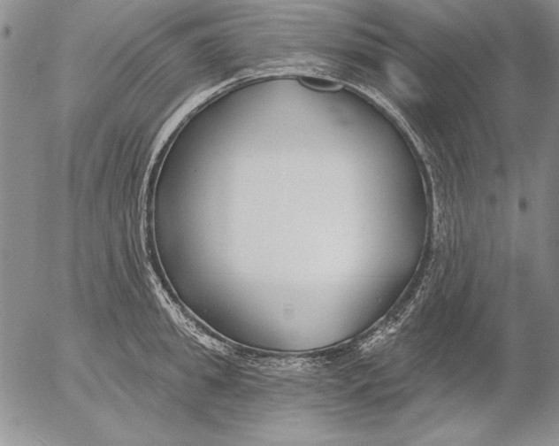 X0000053000949200507291639