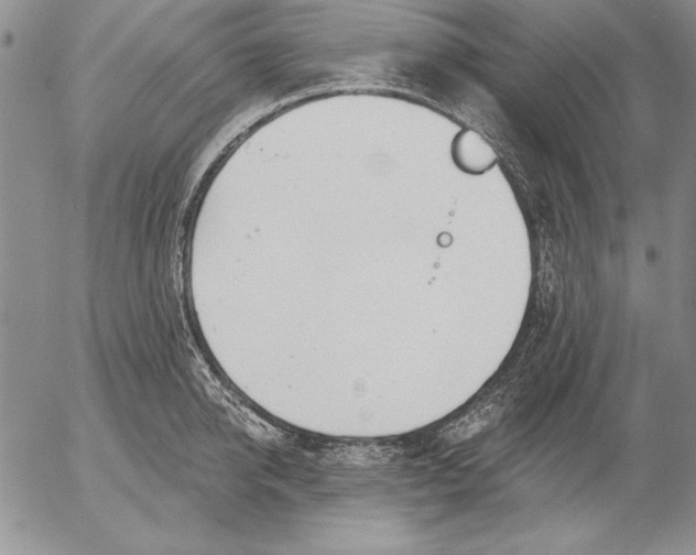 X0000053000950200507291639