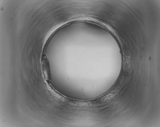 X0000053000951200507291639