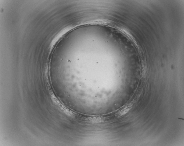 X0000053000952200507291639