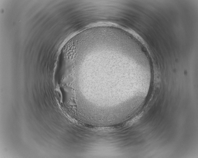 X0000053000953200507291639