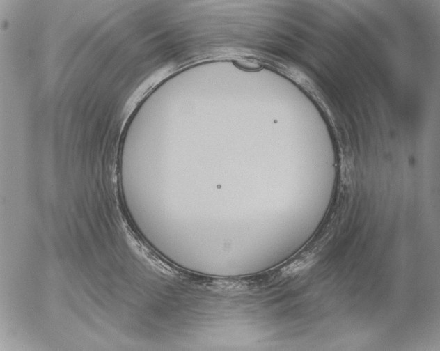 X0000053000954200507291639