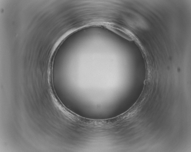 X0000053000955200507291639