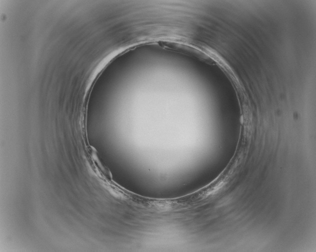 X0000053000956200507291639