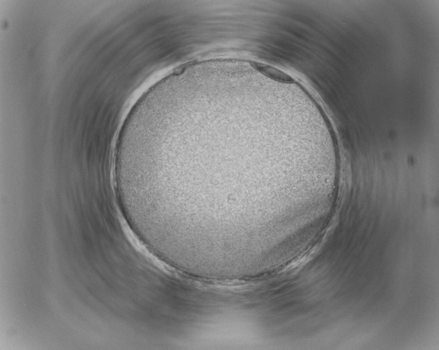 X0000053000957200507291639