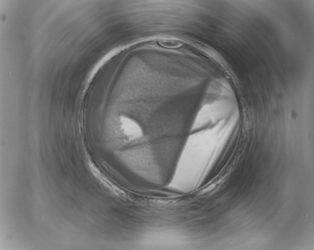 X0000053000958200507291639