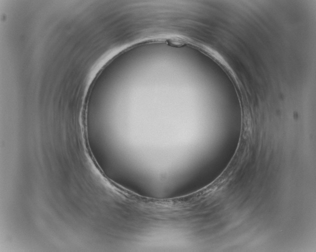 X0000053000959200507291639