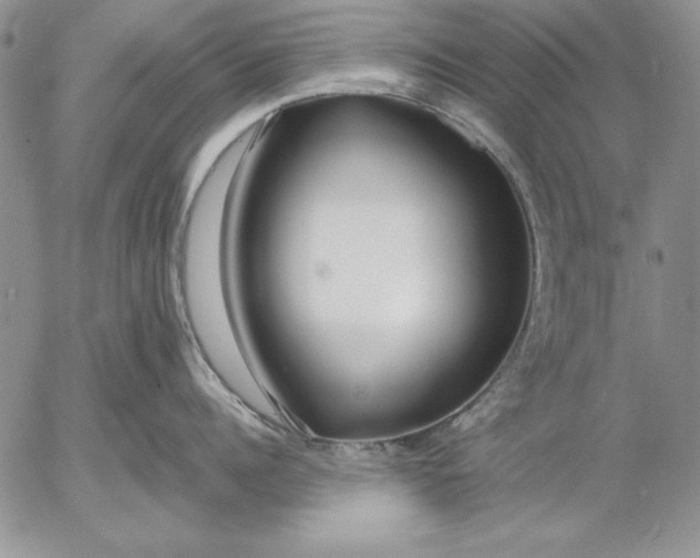 X0000053000960200507291639