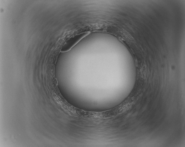 X0000053000961200507291638