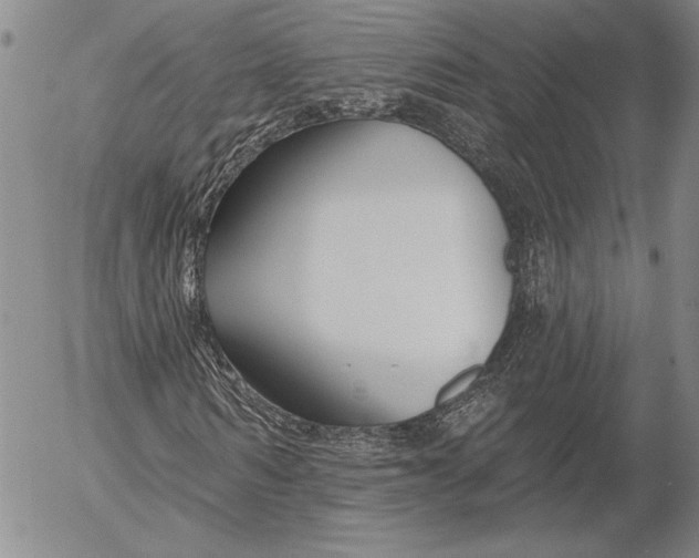 X0000053000962200507291638