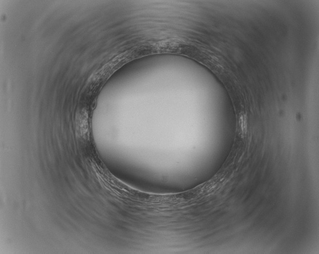 X0000053000963200507291638