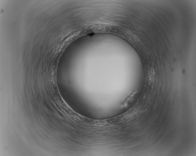 X0000053000964200507291638