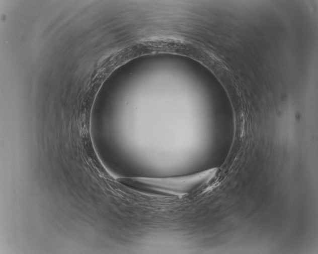 X0000053000965200507291638