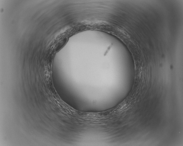 X0000053000966200507291638