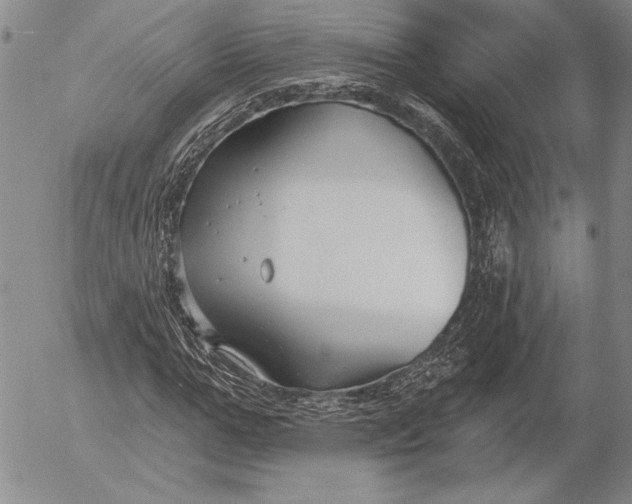 X0000053000967200507291638