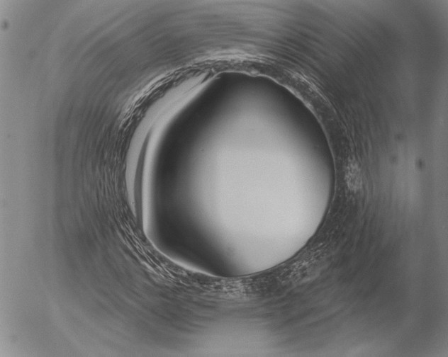 X0000053000968200507291638