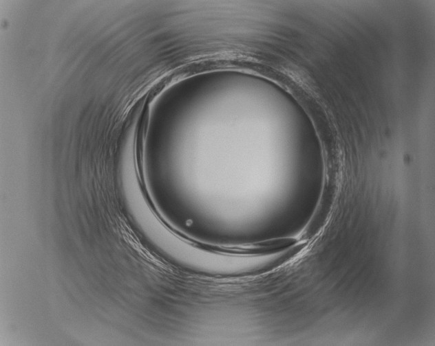 X0000053000969200507291638