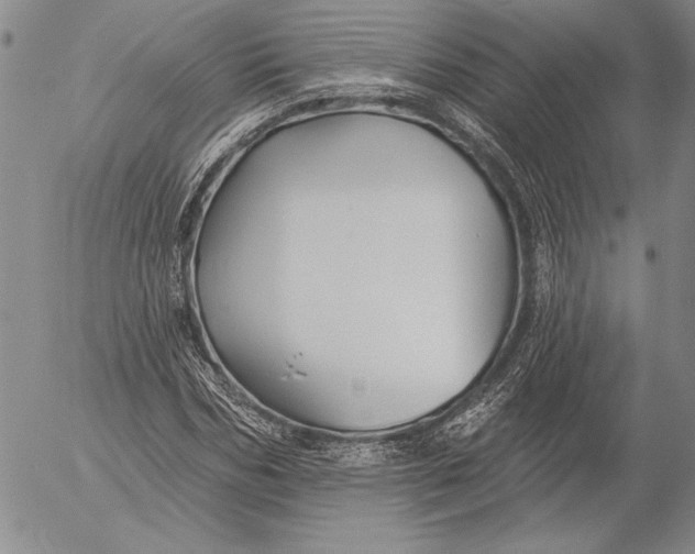 X0000053000970200507291638