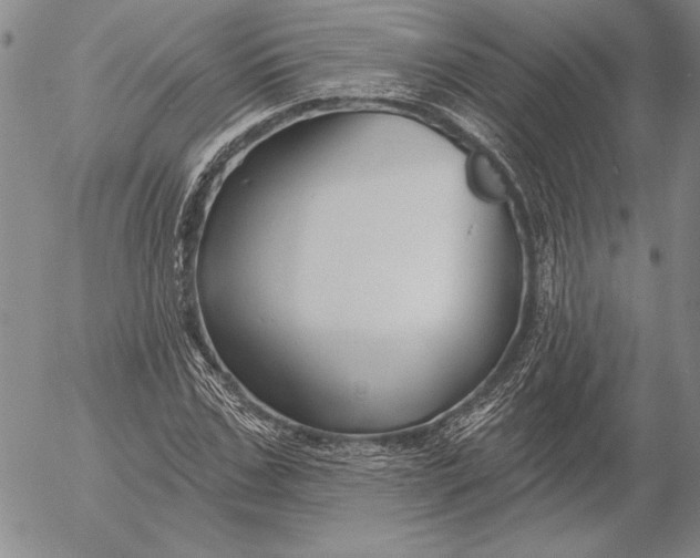 X0000053000971200507291638