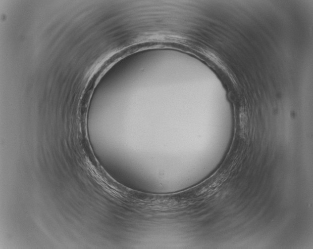 X0000053000972200507291638