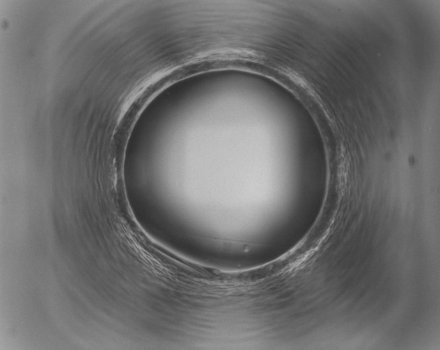 X0000053000973200507291638