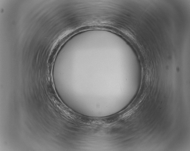 X0000053000974200507291638