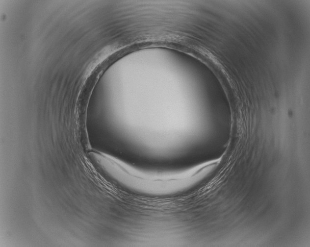 X0000053000975200507291638