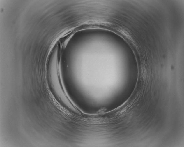 X0000053000976200507291638