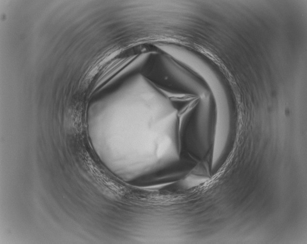 X0000053000977200507291638