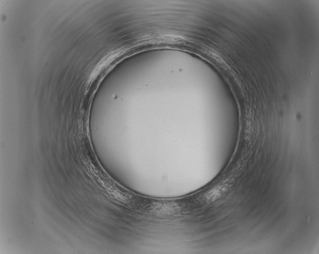 X0000053000978200507291638