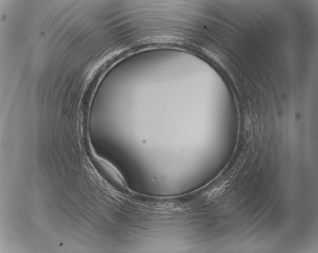 X0000053000979200507291638