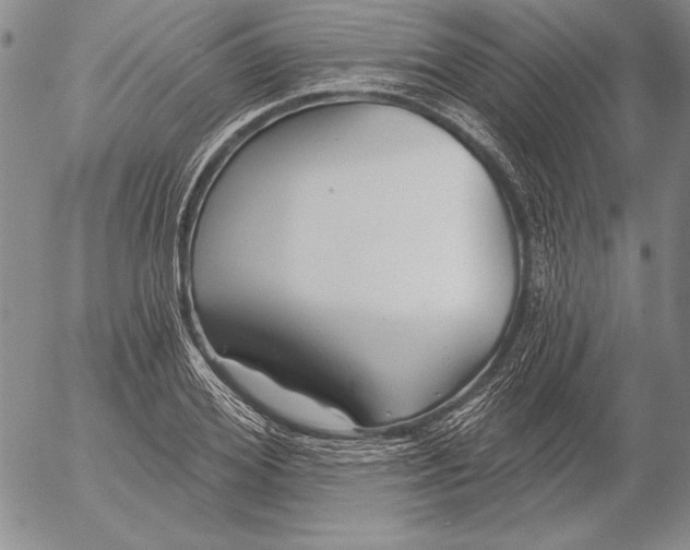 X0000053000980200507291638