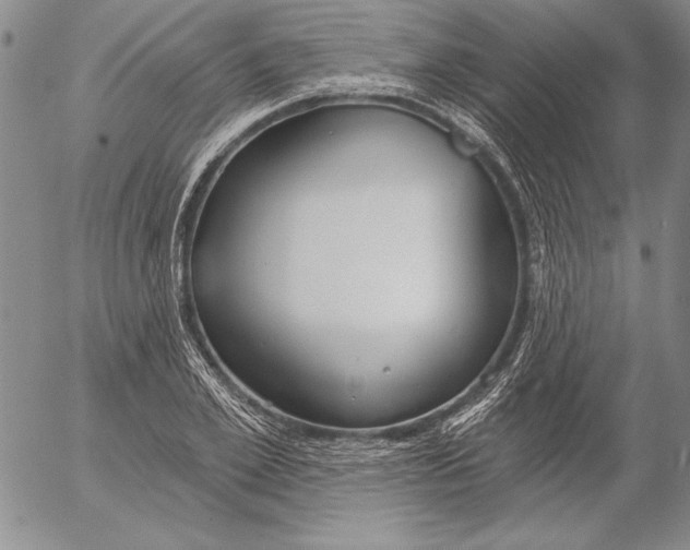 X0000053000981200507291638