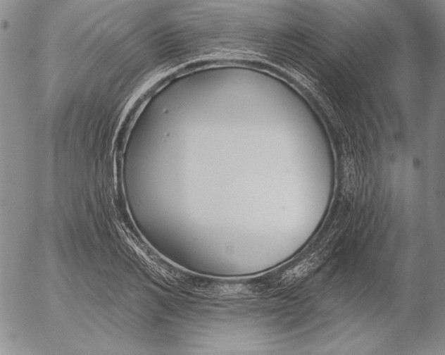 X0000053000982200507291638