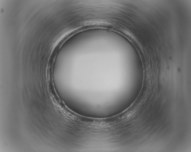 X0000053000983200507291638