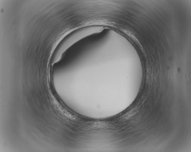 X0000053000984200507291638