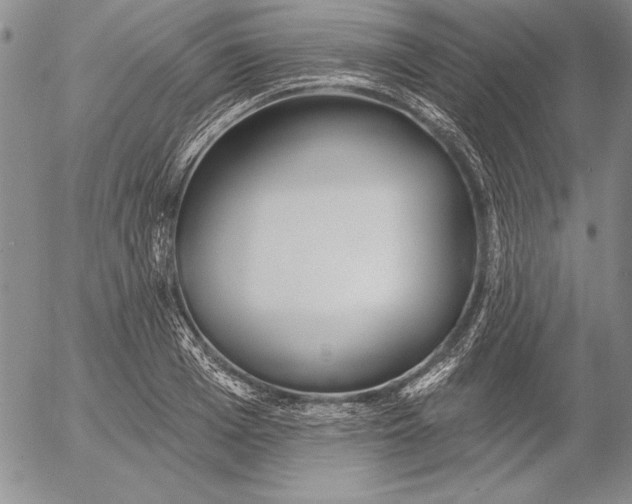 X0000053000985200507291638