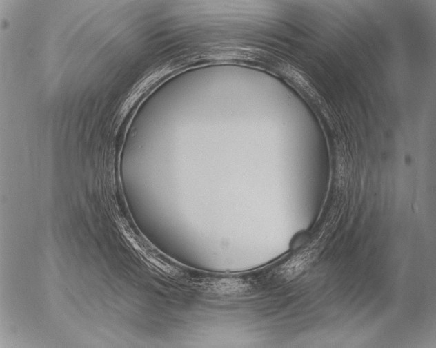 X0000053000986200507291638