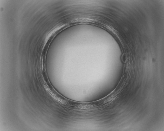 X0000053000987200507291638