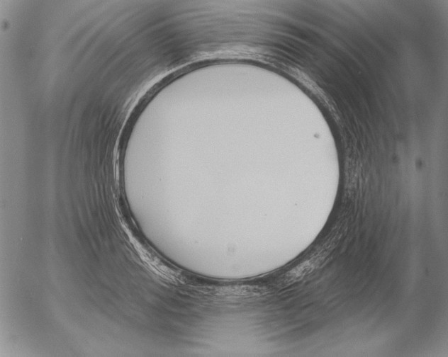 X0000053000988200507291638