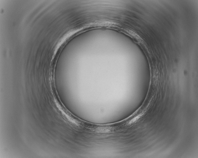 X0000053000989200507291638