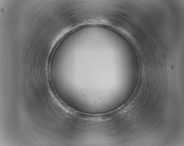 X0000053000990200507291638