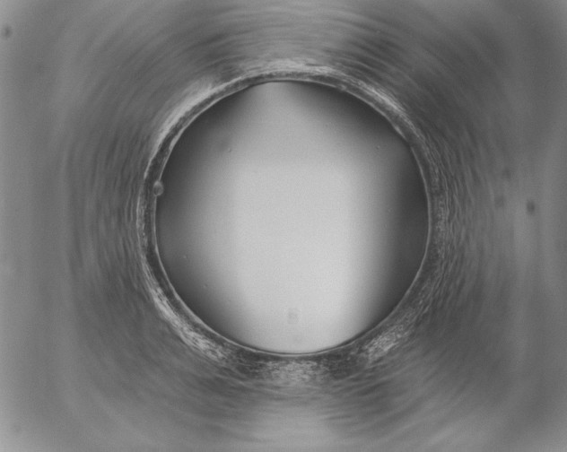 X0000053000991200507291638