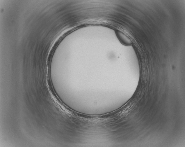 X0000053000992200507291638