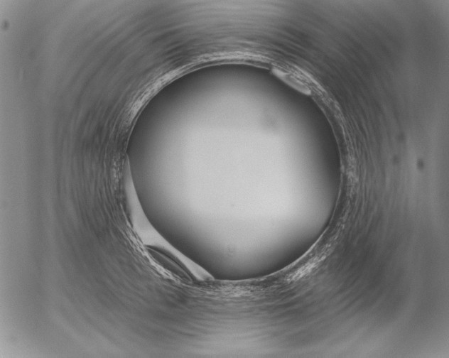 X0000053000993200507291638