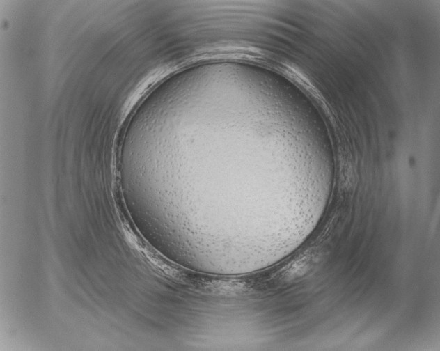 X0000053000994200507291638