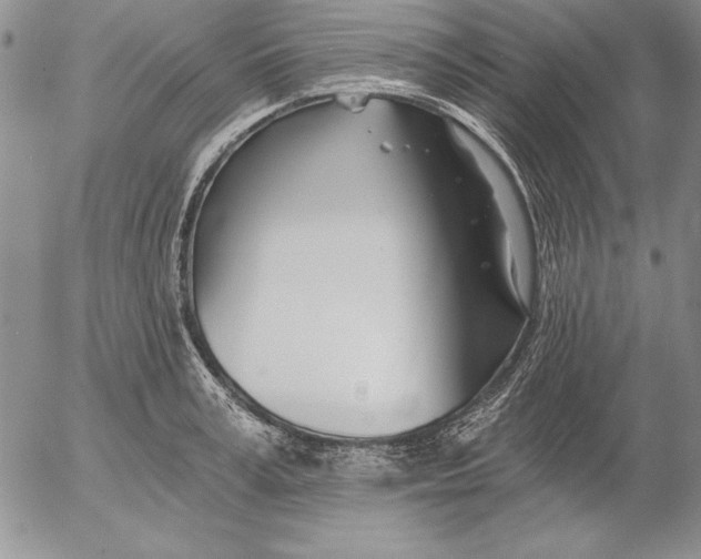 X0000053000995200507291638